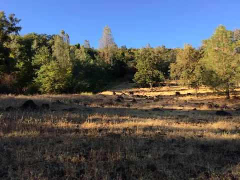 4955 Wilson Hill Rd, Manton, CA 96059 photo 34