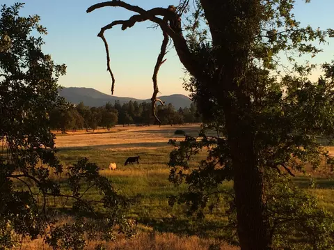 4955 Wilson Hill Rd, Manton, CA 96059 photo 51