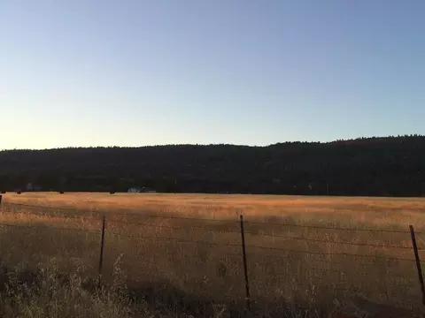4955 Wilson Hill Rd, Manton, CA 96059 photo 83