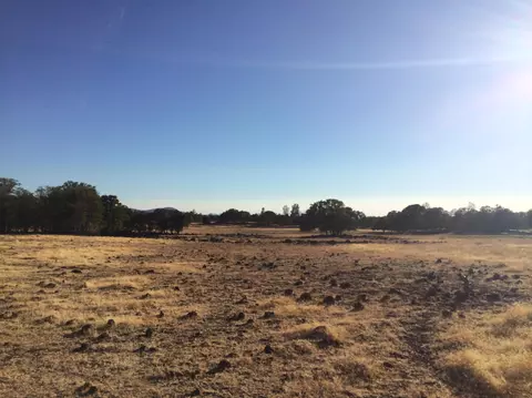 4955 Wilson Hill Rd, Manton, CA 96059 photo 3