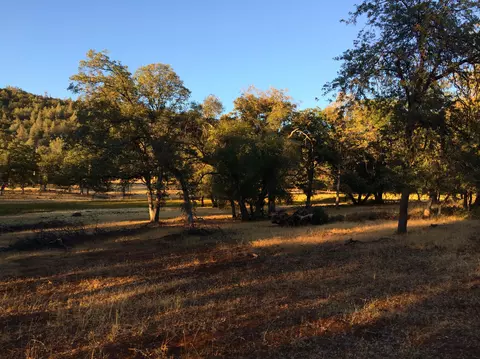 4955 Wilson Hill Rd, Manton, CA 96059 photo 47