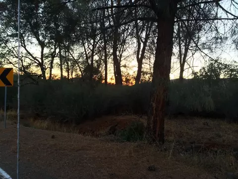 4955 Wilson Hill Rd, Manton, CA 96059 photo 89