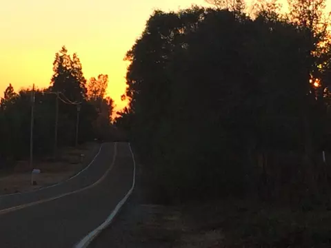 4955 Wilson Hill Rd, Manton, CA 96059 photo 82
