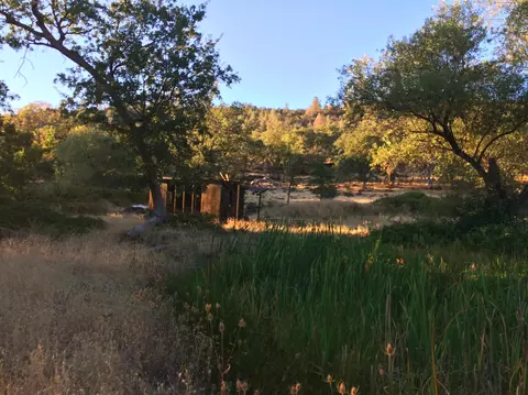 4955 Wilson Hill Rd, Manton, CA 96059 photo 42