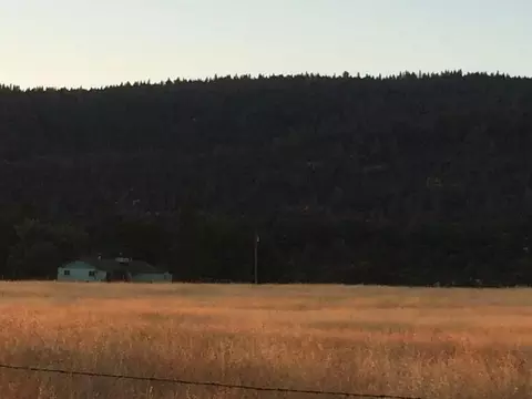 4955 Wilson Hill Rd, Manton, CA 96059 photo 84