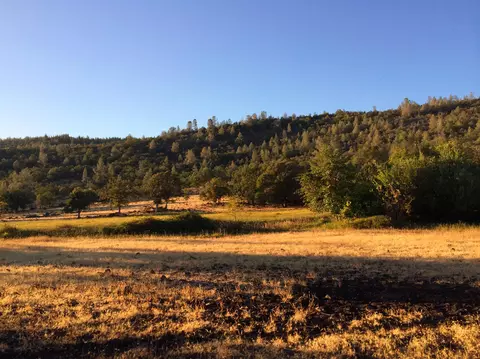 4955 Wilson Hill Rd, Manton, CA 96059 photo 45