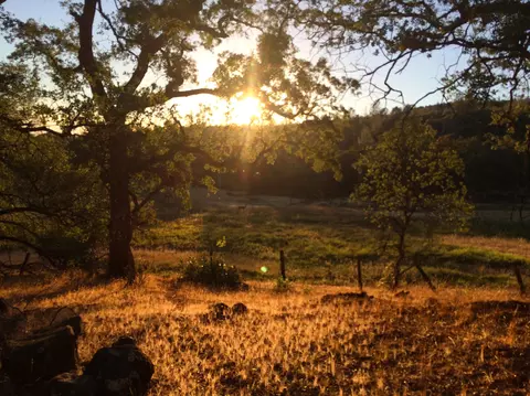 4955 Wilson Hill Rd, Manton, CA 96059 photo 49