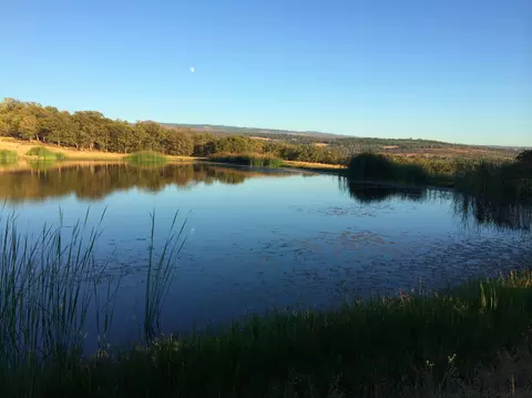 4955 Wilson Hill Rd, Manton, CA 96059 photo 39
