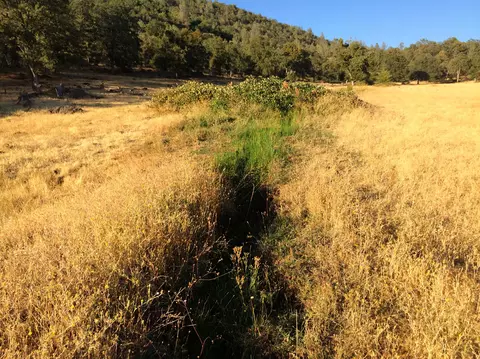 4955 Wilson Hill Rd, Manton, CA 96059 photo 31