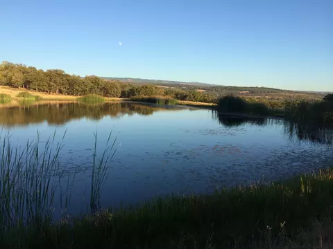 4955 Wilson Hill Rd, Manton, CA 96059 photo 1
