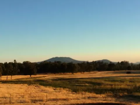 4955 Wilson Hill Rd, Manton, CA 96059 photo 53