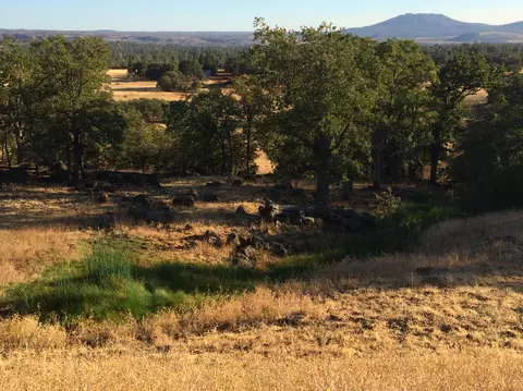 4955 Wilson Hill Rd, Manton, CA 96059 photo 23