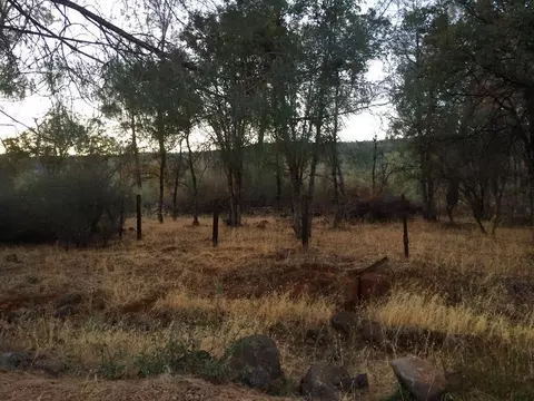 4955 Wilson Hill Rd, Manton, CA 96059 photo 88