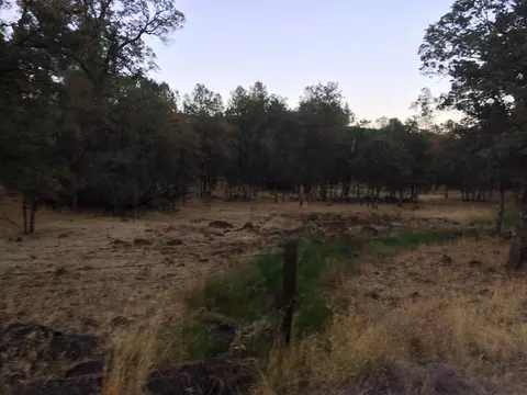 4955 Wilson Hill Rd, Manton, CA 96059 photo 86