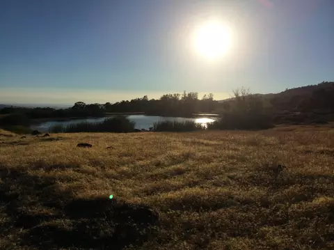 4955 Wilson Hill Rd, Manton, CA 96059 photo 27