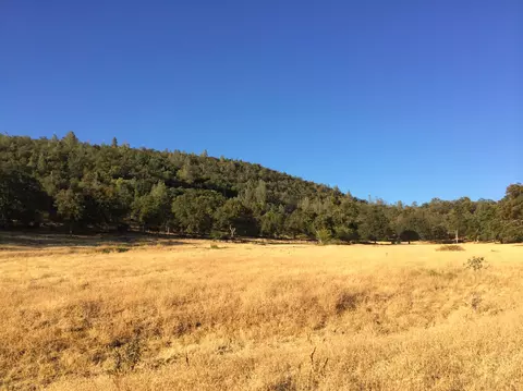 4955 Wilson Hill Rd, Manton, CA 96059 photo 28