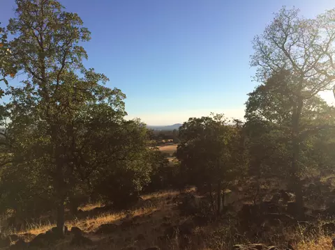 4955 Wilson Hill Rd, Manton, CA 96059 photo 33
