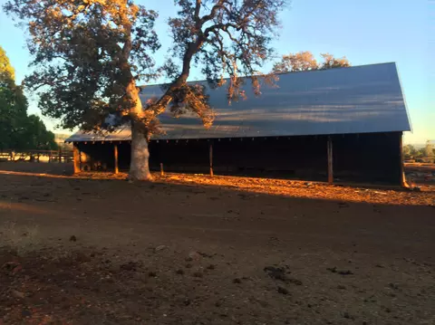 4955 Wilson Hill Rd, Manton, CA 96059 photo 60