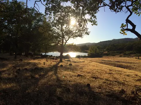 4955 Wilson Hill Rd, Manton, CA 96059 photo 32