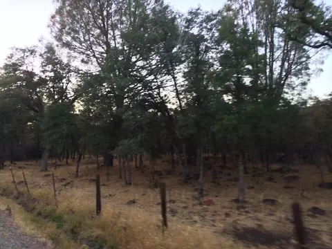 4955 Wilson Hill Rd, Manton, CA 96059 photo 87