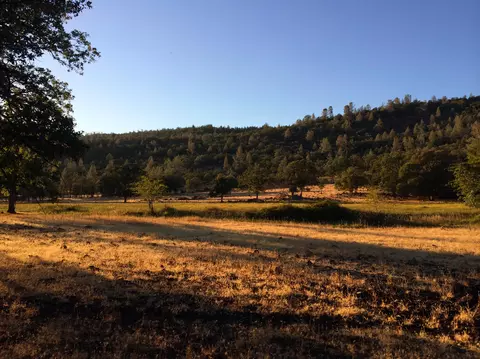 4955 Wilson Hill Rd, Manton, CA 96059 photo 46