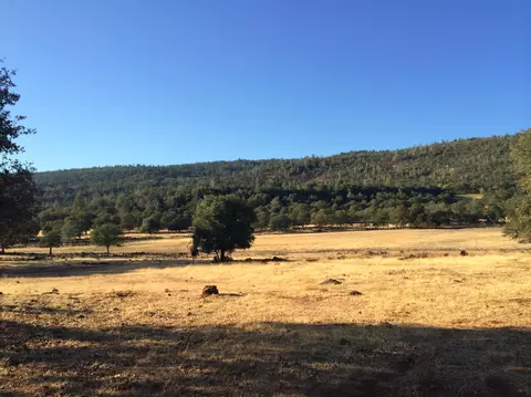 4955 Wilson Hill Rd, Manton, CA 96059 photo 7