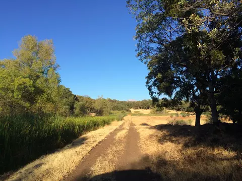 4955 Wilson Hill Rd, Manton, CA 96059 photo 15