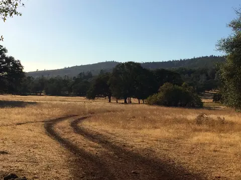 4955 Wilson Hill Rd, Manton, CA 96059 photo 13