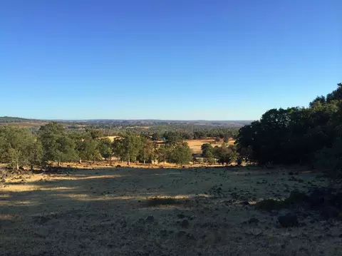 4955 Wilson Hill Rd, Manton, CA 96059 photo 16