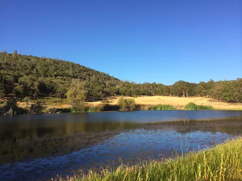 4955 Wilson Hill Rd, Manton, CA 96059 photo 20