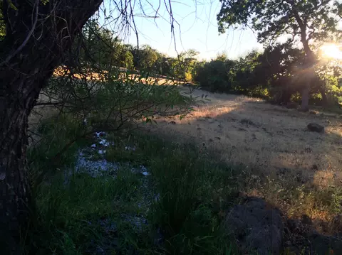 4955 Wilson Hill Rd, Manton, CA 96059 photo 43