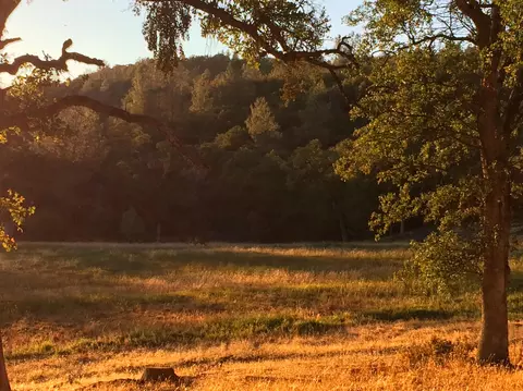 4955 Wilson Hill Rd, Manton, CA 96059 photo 50