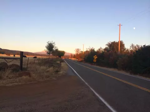 4955 Wilson Hill Rd, Manton, CA 96059 photo 81