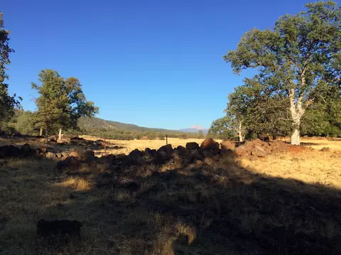 4955 Wilson Hill Rd, Manton, CA 96059 photo 9
