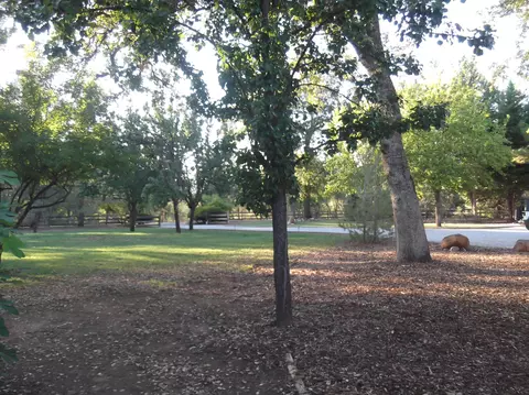 12837 Old Oregon Trl, Redding, CA 96003 photo 16