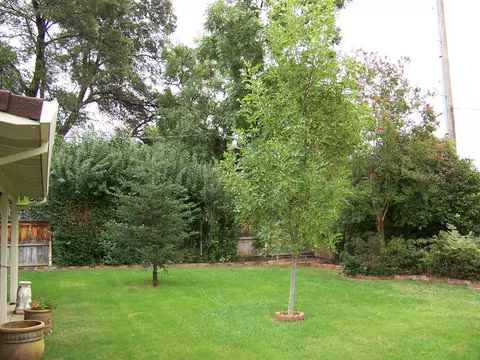 529 Estate St, Redding, CA 96002 photo 3
