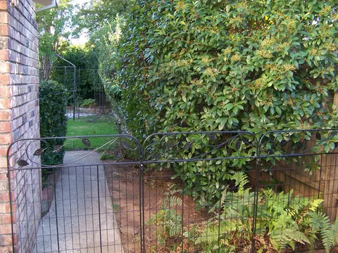 529 Estate St, Redding, CA 96002 photo 18