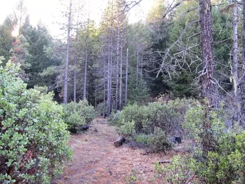 1190 Upriver Rd, Ruth, CA 95552 photo 4