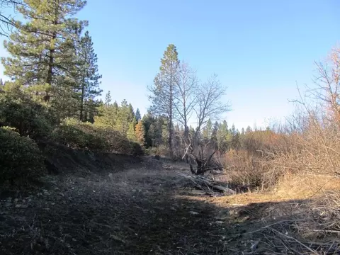 1190 Upriver Rd, Ruth, CA 95552 photo 12