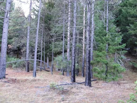 1190 Upriver Rd, Ruth, CA 95552 photo 6