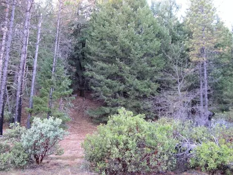1190 Upriver Rd, Ruth, CA 95552 photo 5