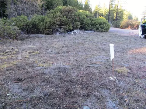 1190 Upriver Rd, Ruth, CA 95552 photo 9