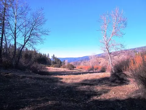 1190 Upriver Rd, Ruth, CA 95552 photo 2