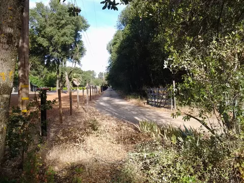20111 Lairpin Ln, Redding, CA 96002 photo 18