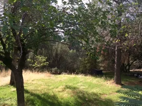 17715 Bright Path, Anderson, CA 96007 photo 5