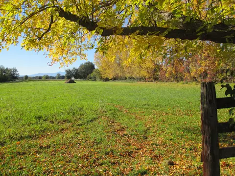 7250 Churn Creek Rd, Redding, CA 96002 photo 18