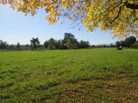 7250 Churn Creek Rd, Redding, CA 96002 photo 17