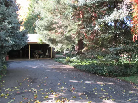 7250 Churn Creek Rd, Redding, CA 96002 photo 6