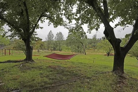 21212 Old Alturas Rd, Redding, CA 96003 photo 24