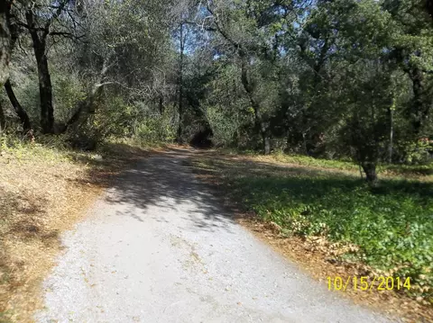 19535 Tunnel Rd, Redding, CA 96003 photo 16